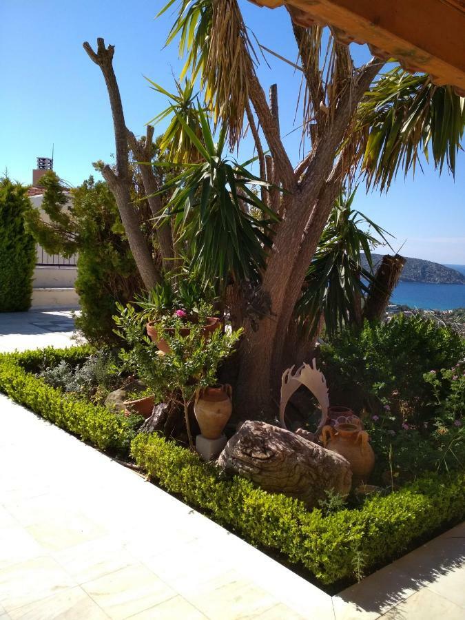 Saronic View Vendégház Anáviszosz Kültér fotó