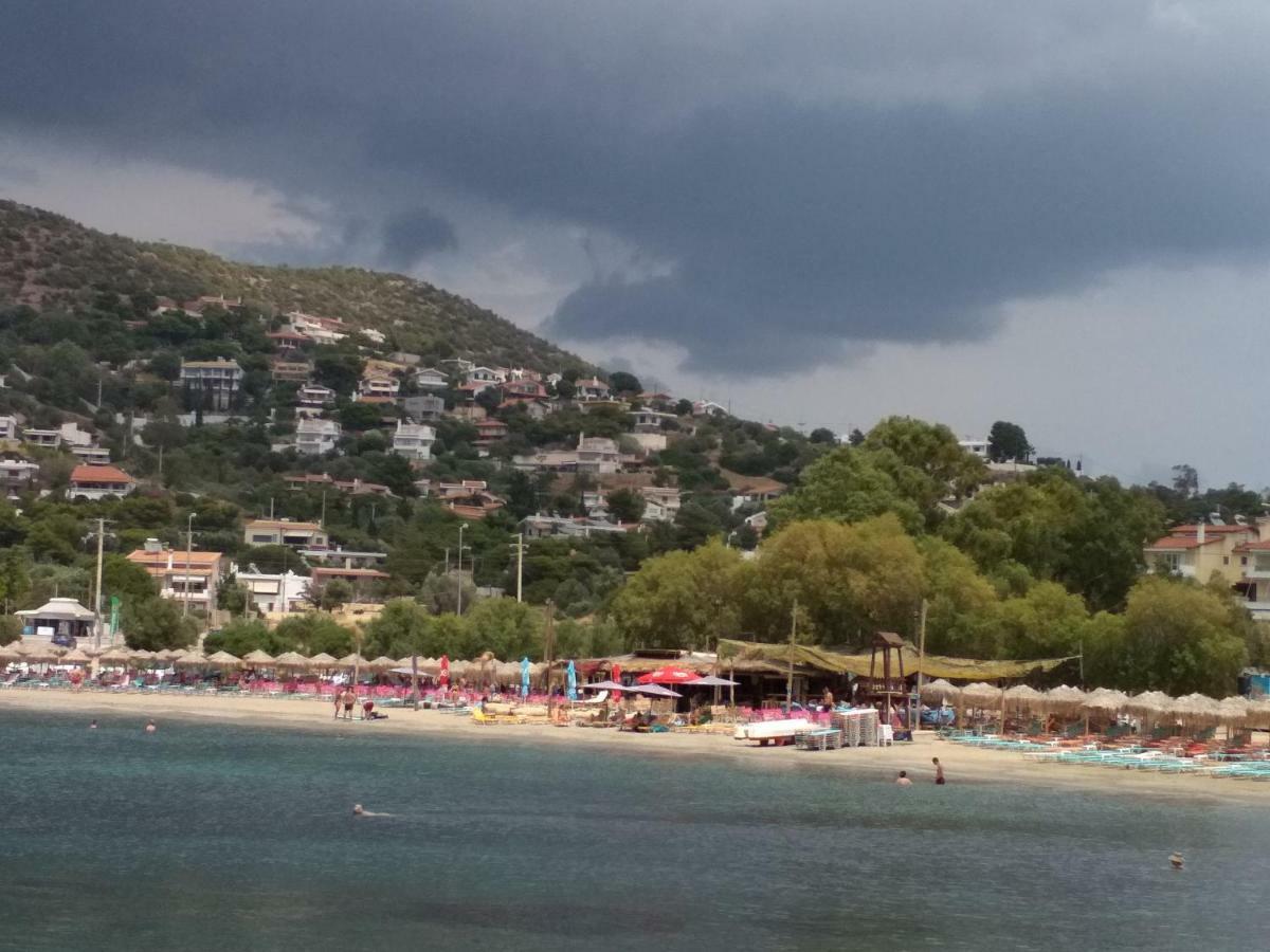 Saronic View Vendégház Anáviszosz Kültér fotó